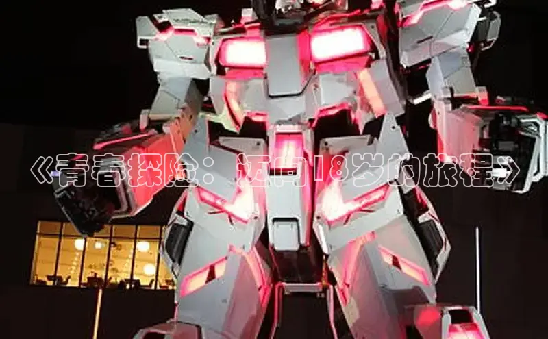 《青春探险：迈向18岁的旅程》